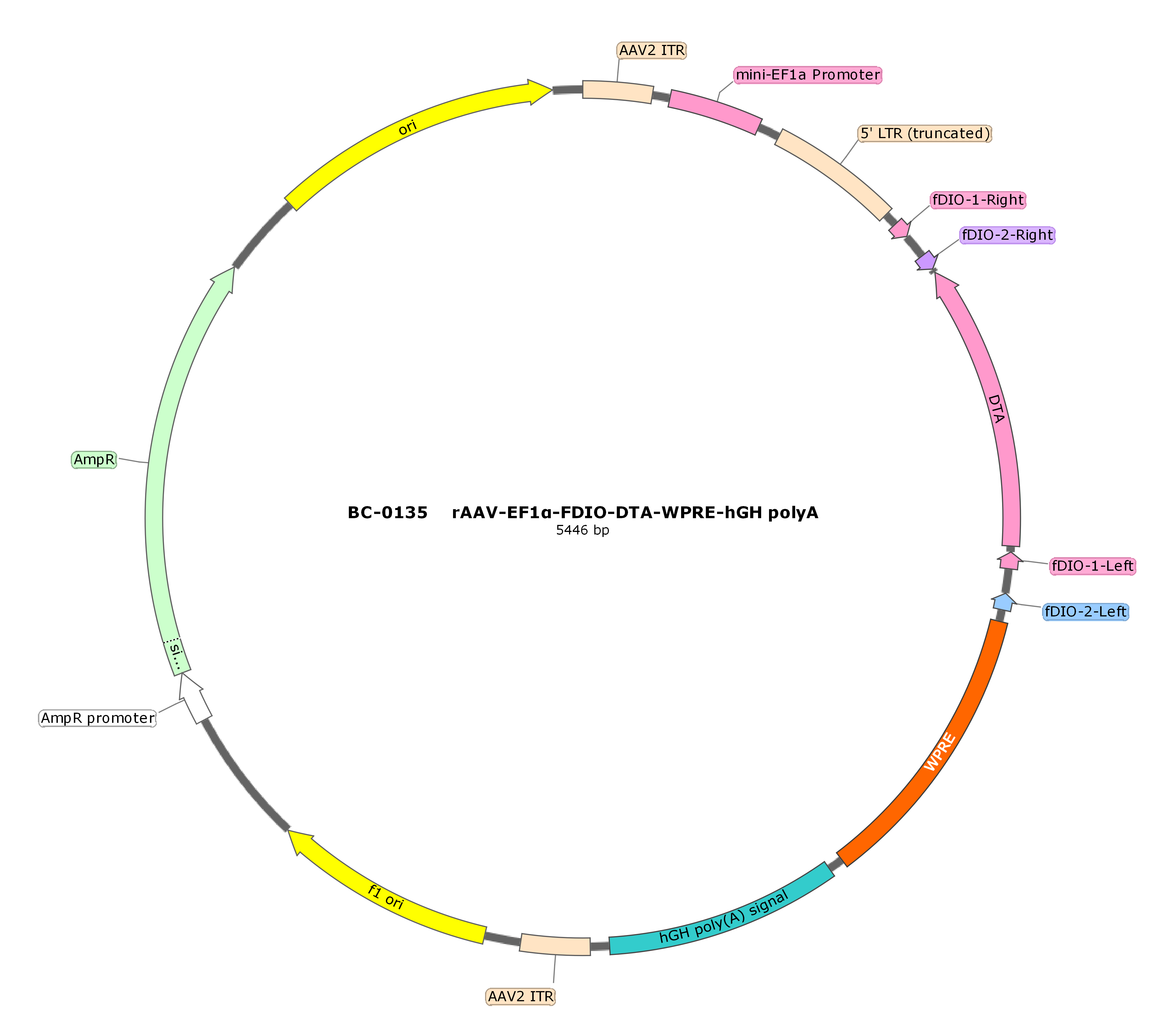 rAAV-EF1α-fDIO-DTA-WPRE-hGH polyA