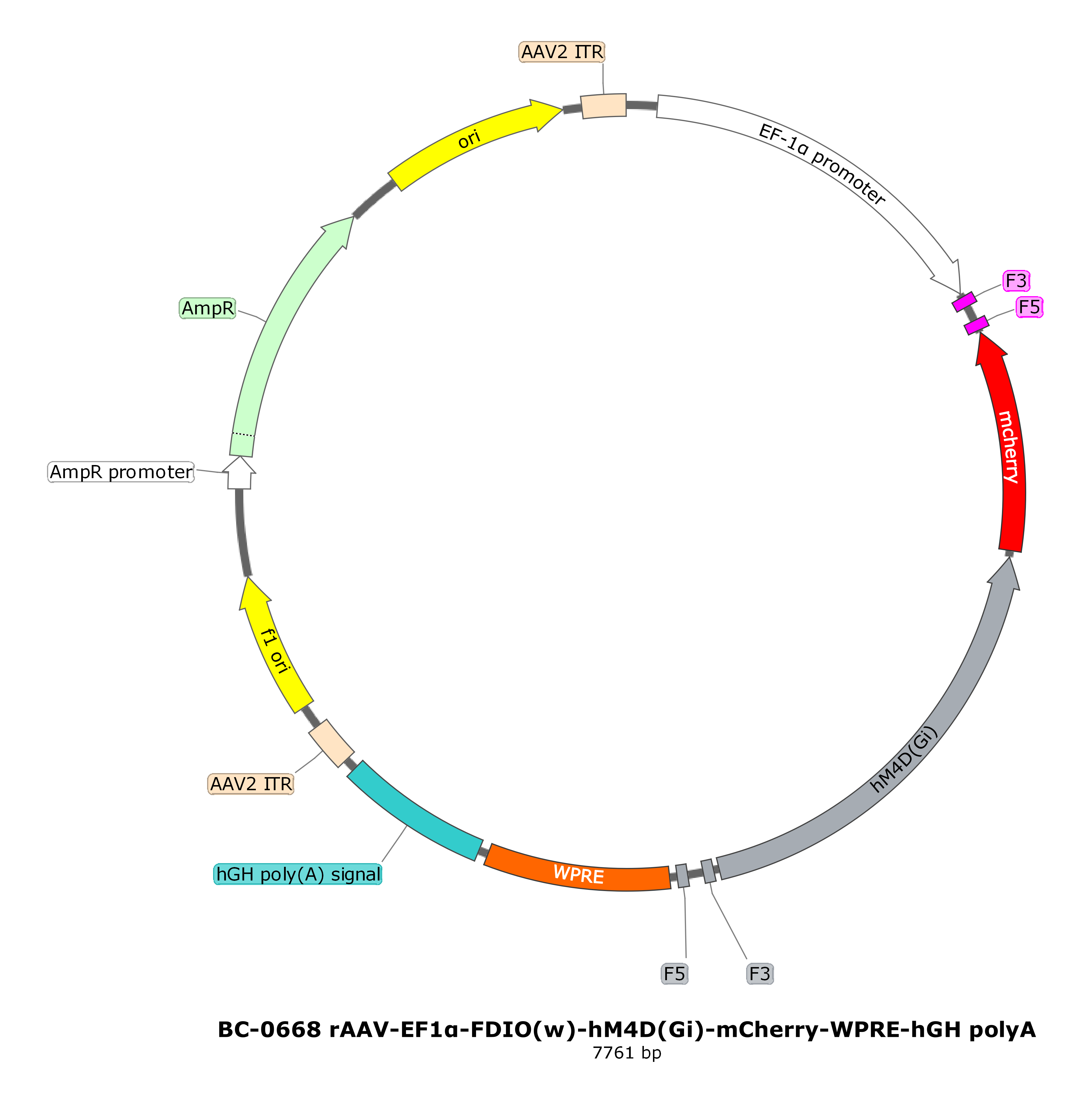 rAAV-EF1α-FDIO(w)-hM4D(Gi)-mCherry