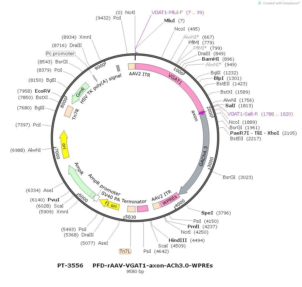 PFD-rAAV-VGAT1-axon-ACh3.0-WPREs