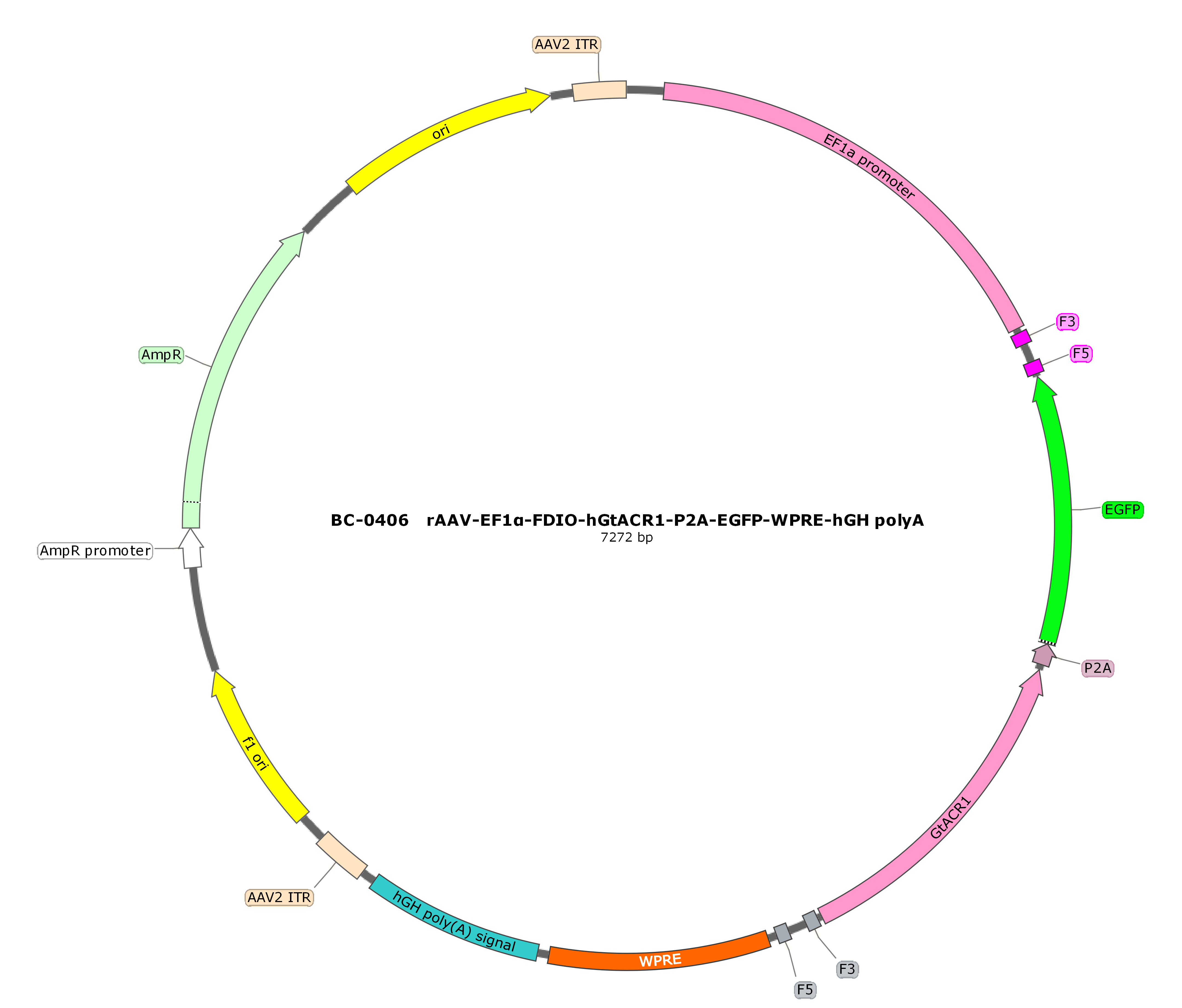 rAAV-EF1α-FDIO-hGtACR1-P2A-EGFP