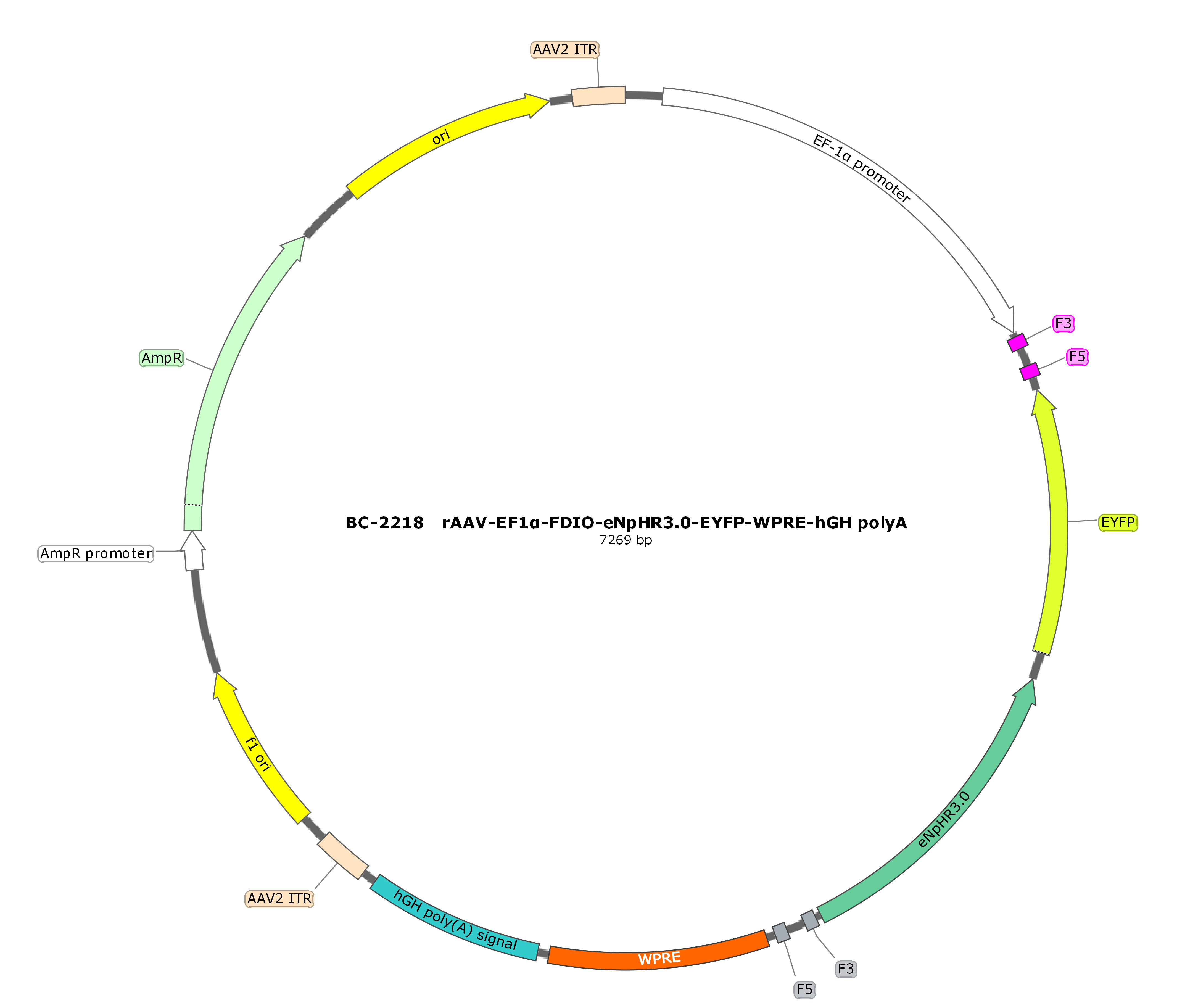 rAAV-EF1α-FDIO-eNpHR3.0-EYFP