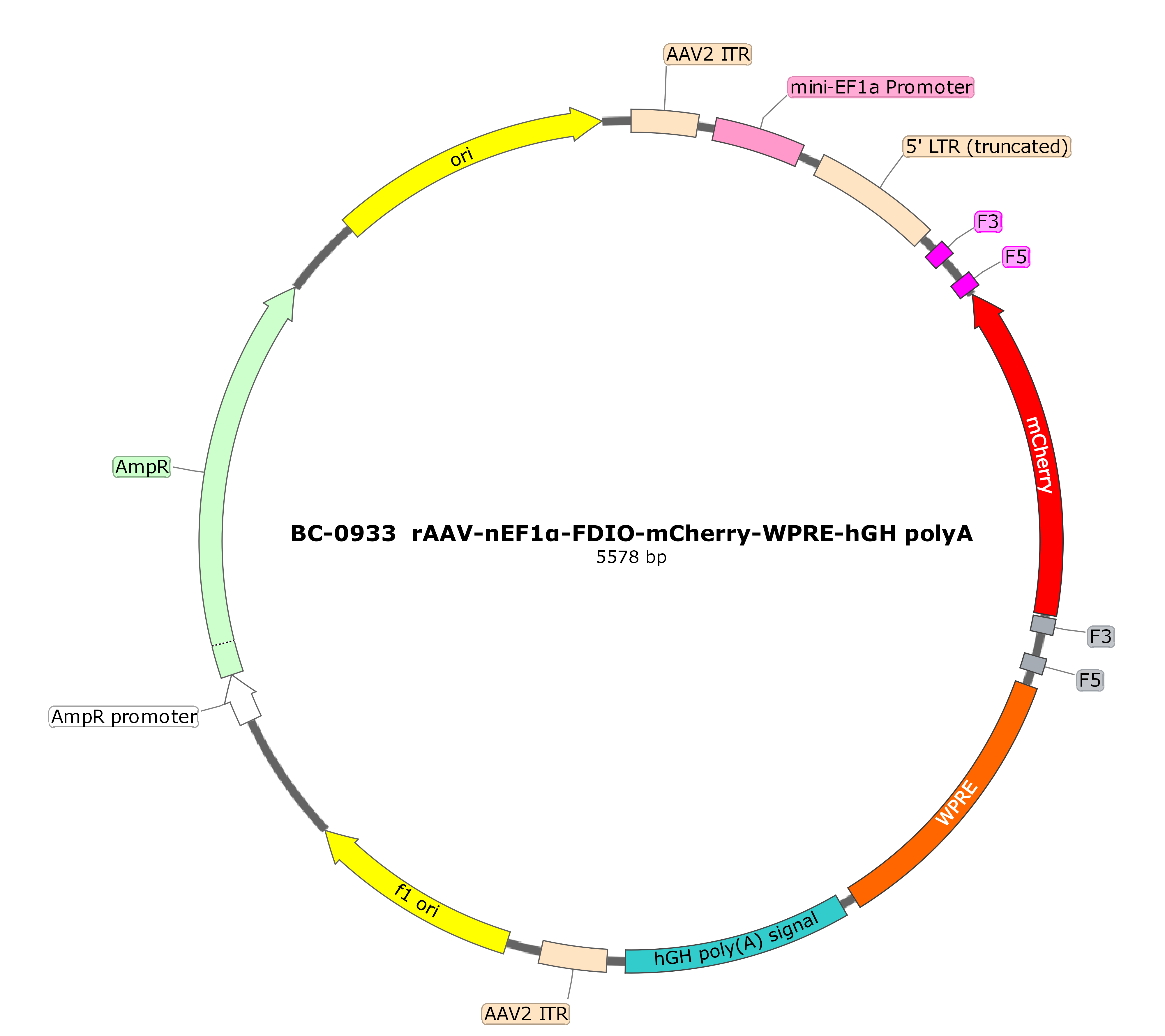 rAAV-nEf1α-FDIO-mCherry-WPRE-hGH polyA