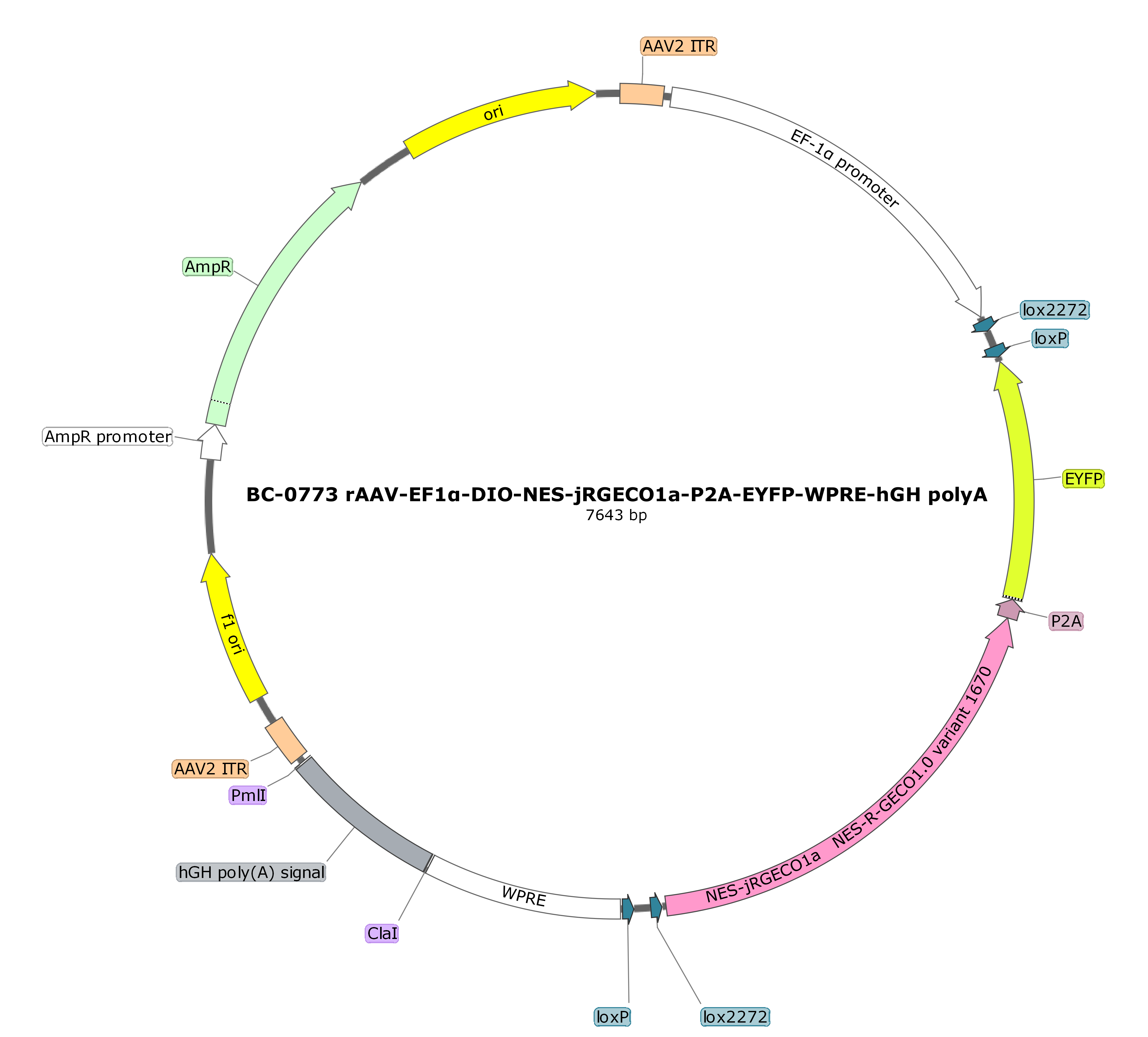 rAAV-EF1α-DIO-NES-jRGECO1a-P2A-EYFP