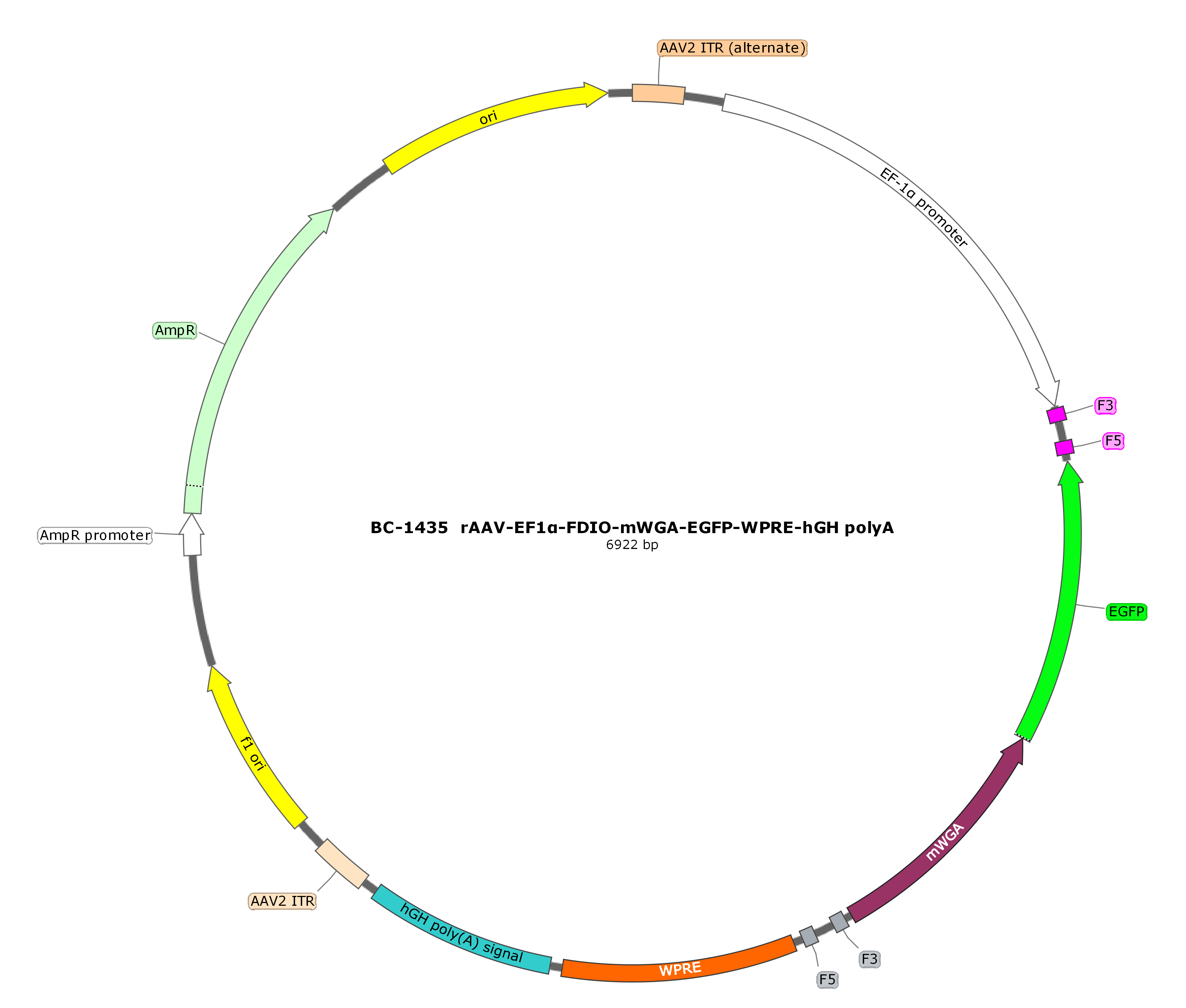 rAAV-EF1α-FDIO-mWGA-EGFP