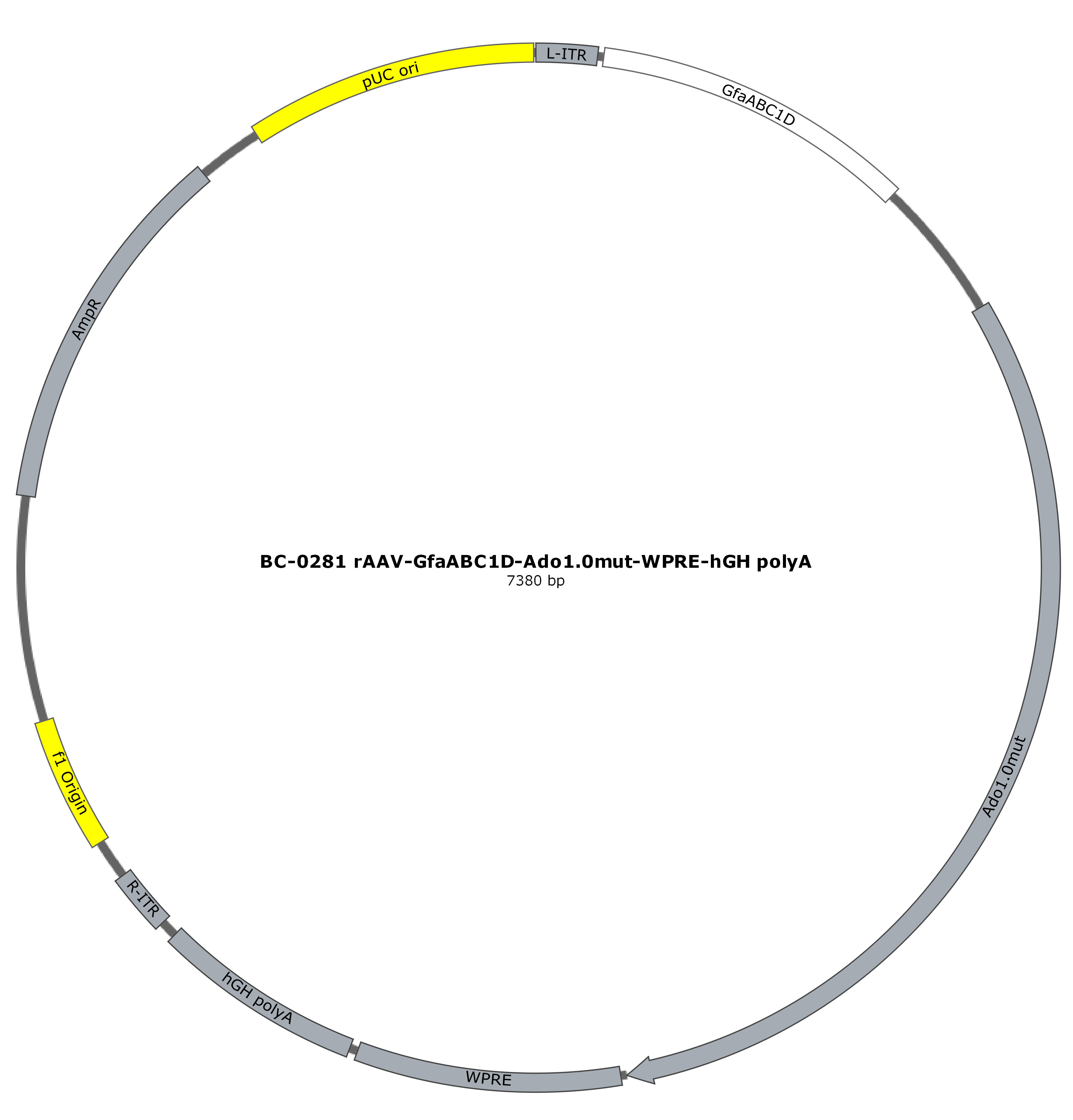 rAAV-GfaABC1D-Ado1.0mut