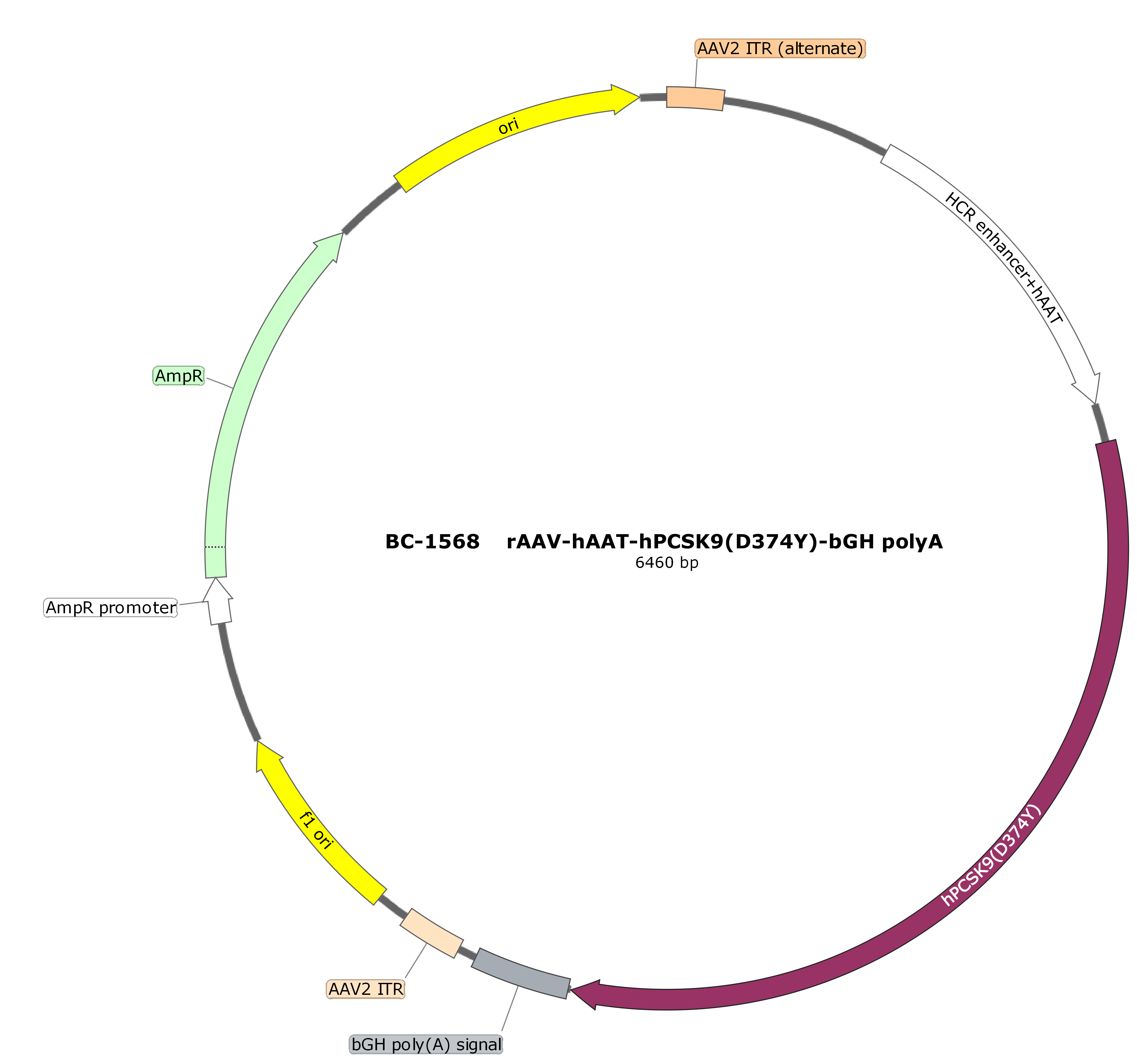 rAAV-hAAT-hPCSK9(D374Y)
