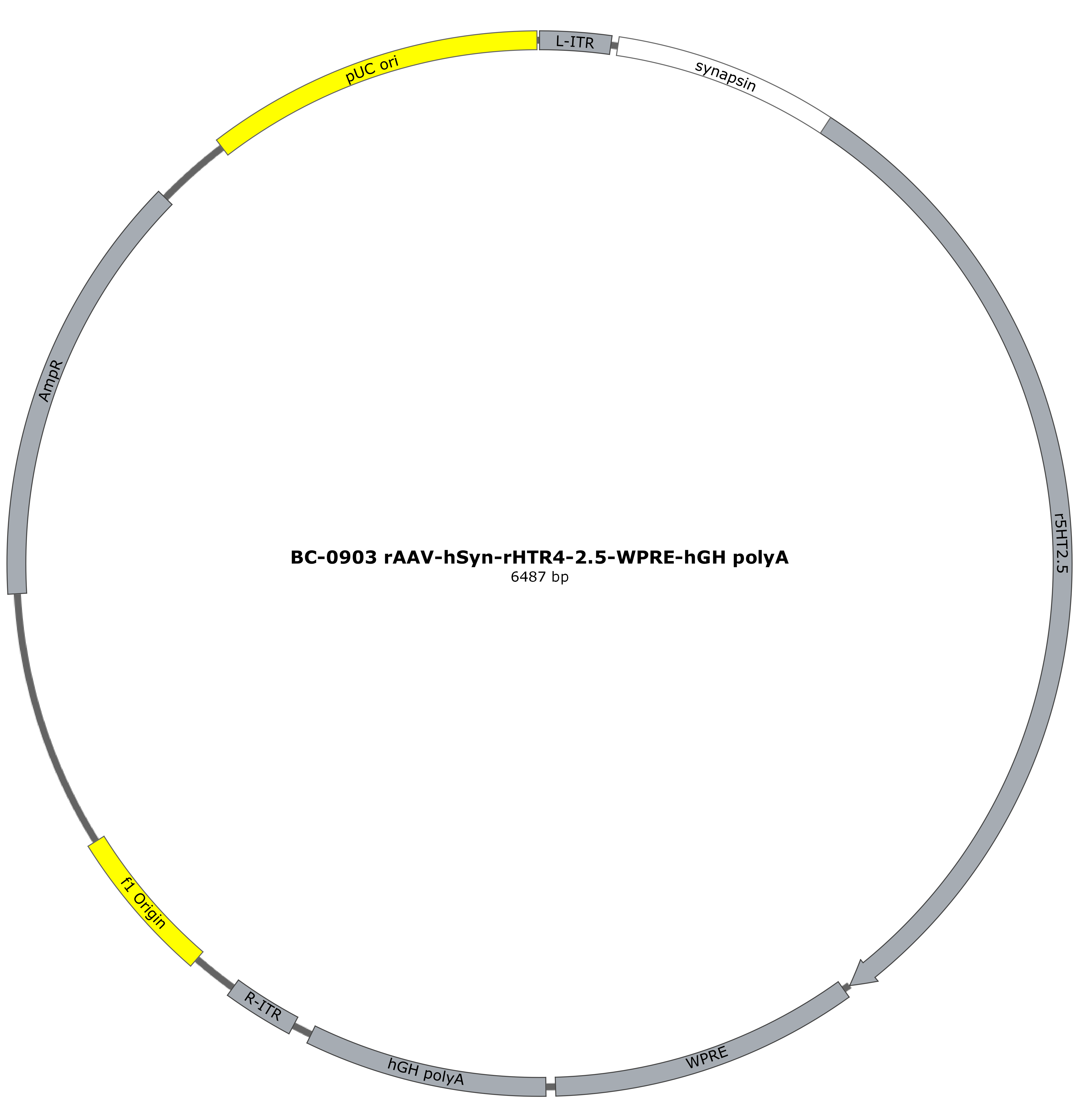rAAV-hSyn-rHTR4-2.5