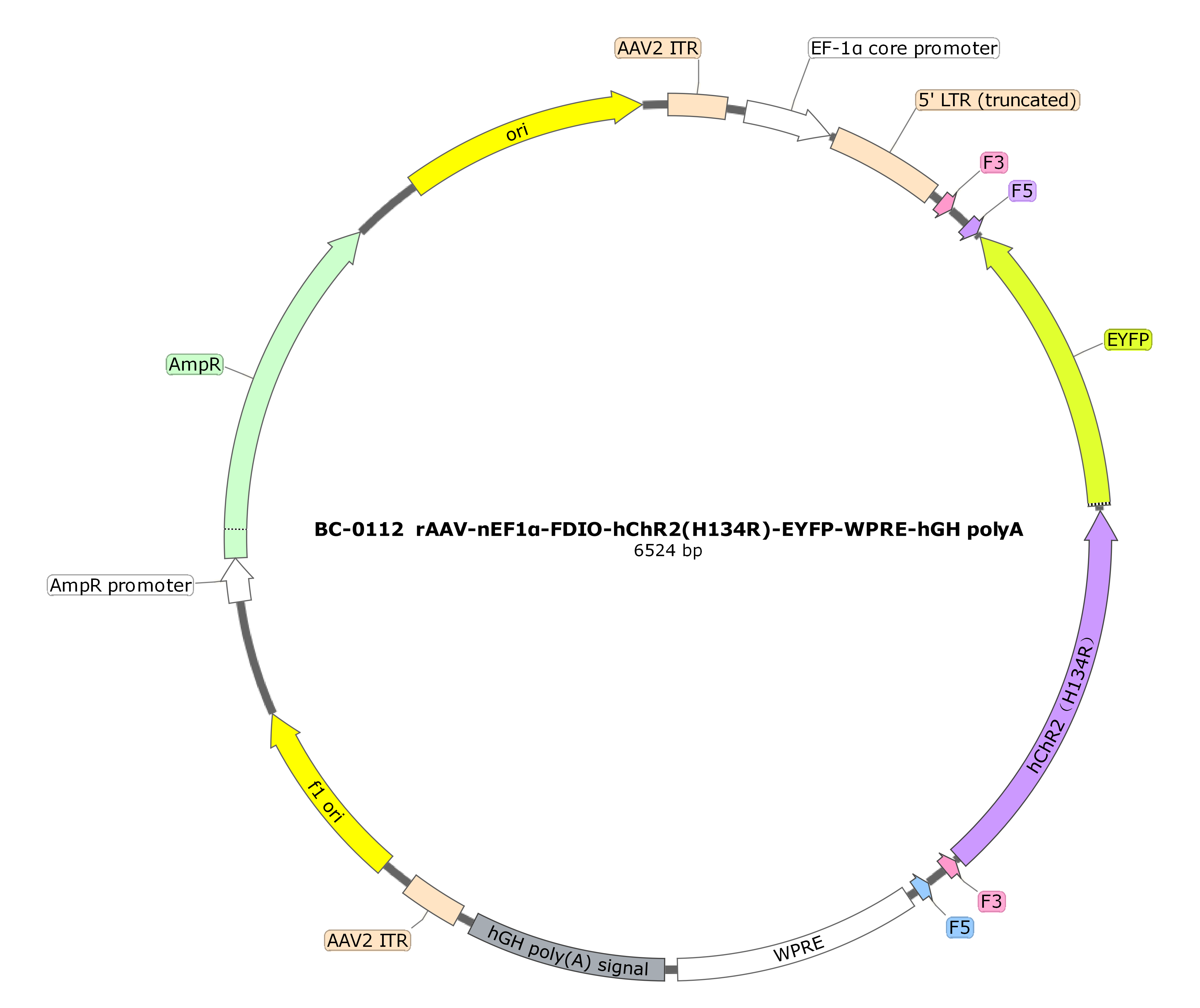 rAAV-nEF1α-FDIO-hChR2(H134R)-EYFP
