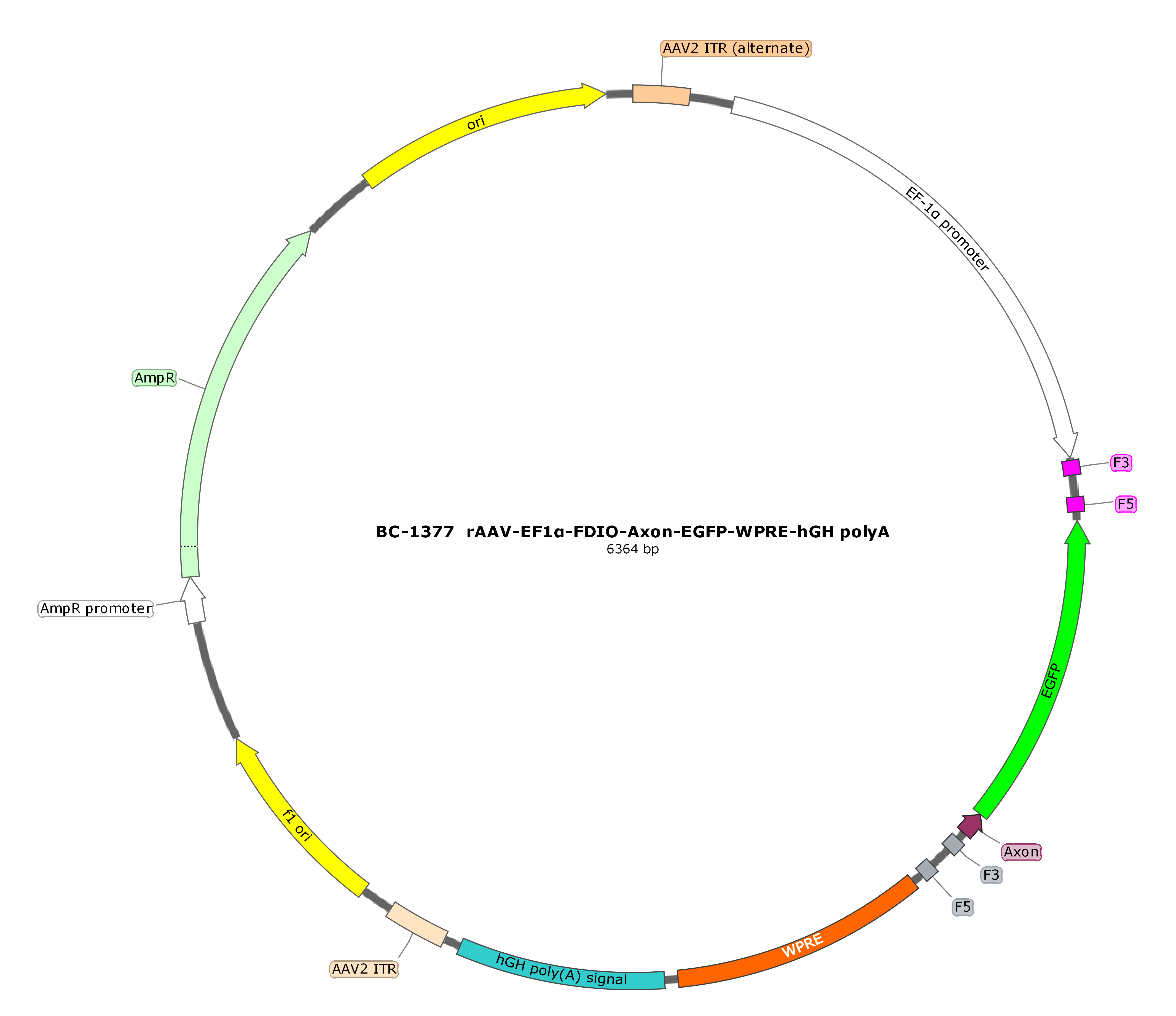 rAAV-EF1α-FDIO-Axon-EGFP