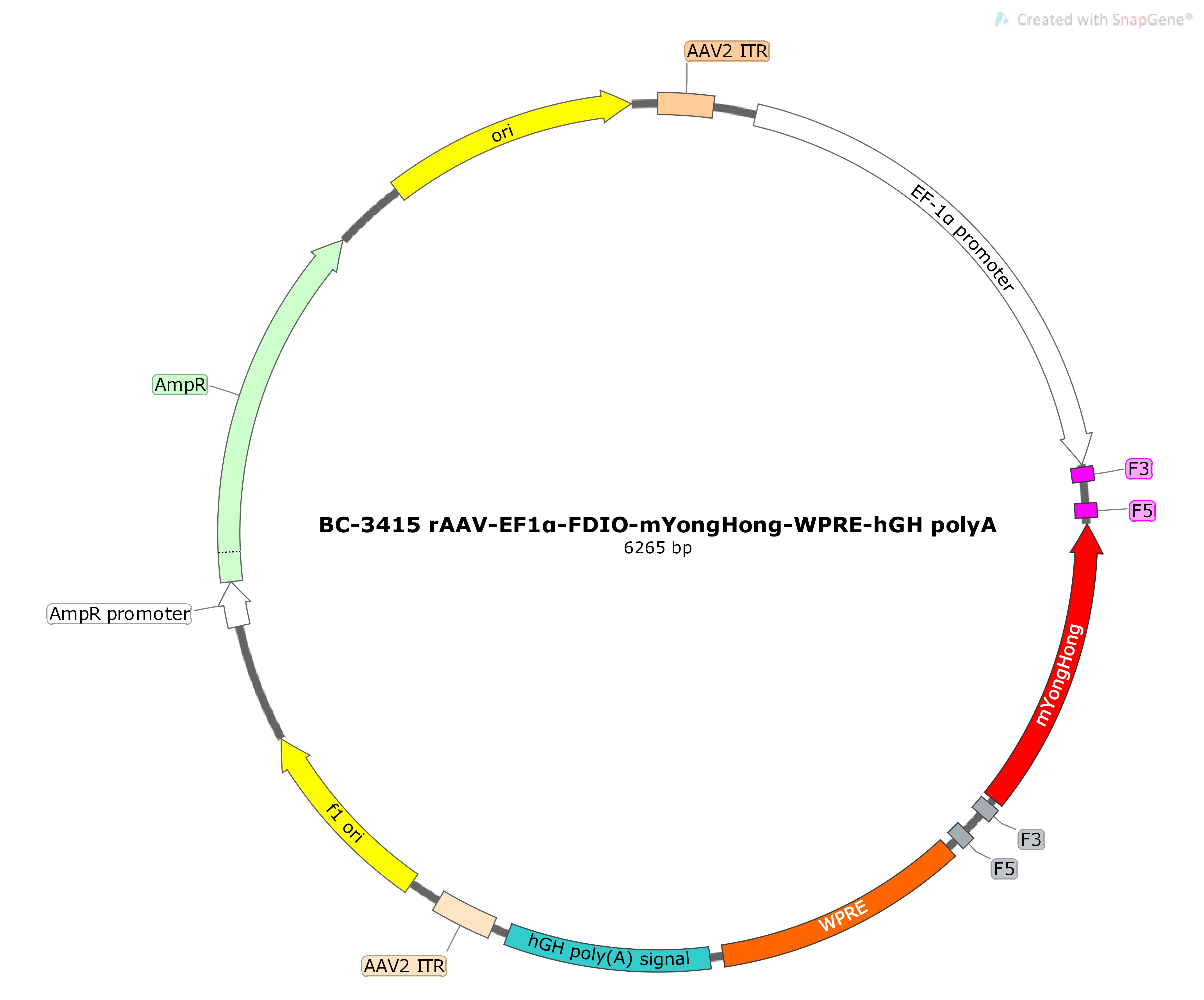 rAAV-EF1α-FDIO-mYongHong