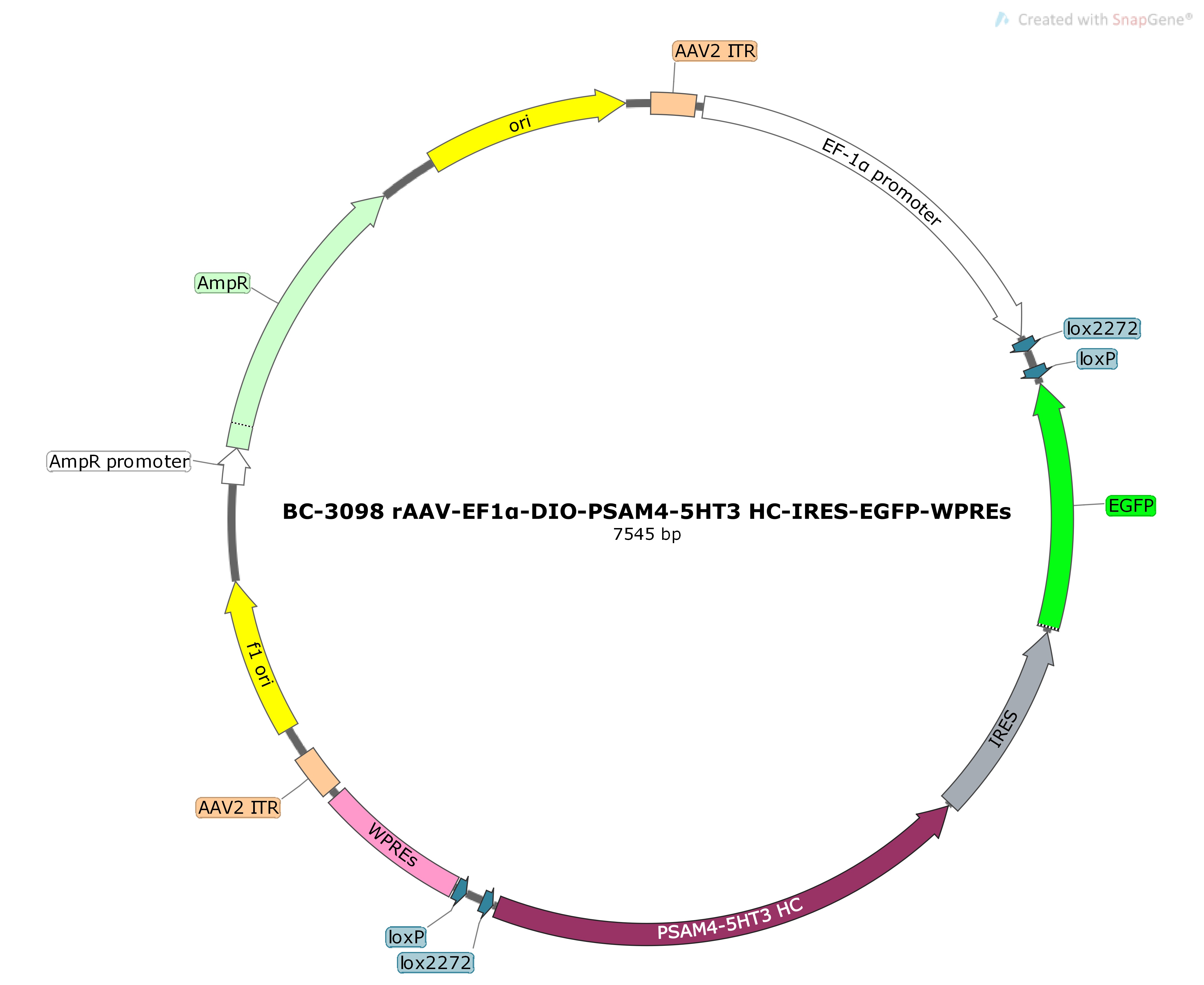 rAAV-EF1α-DIO-PSAM4-5HT3 HC-IRES-EGFP