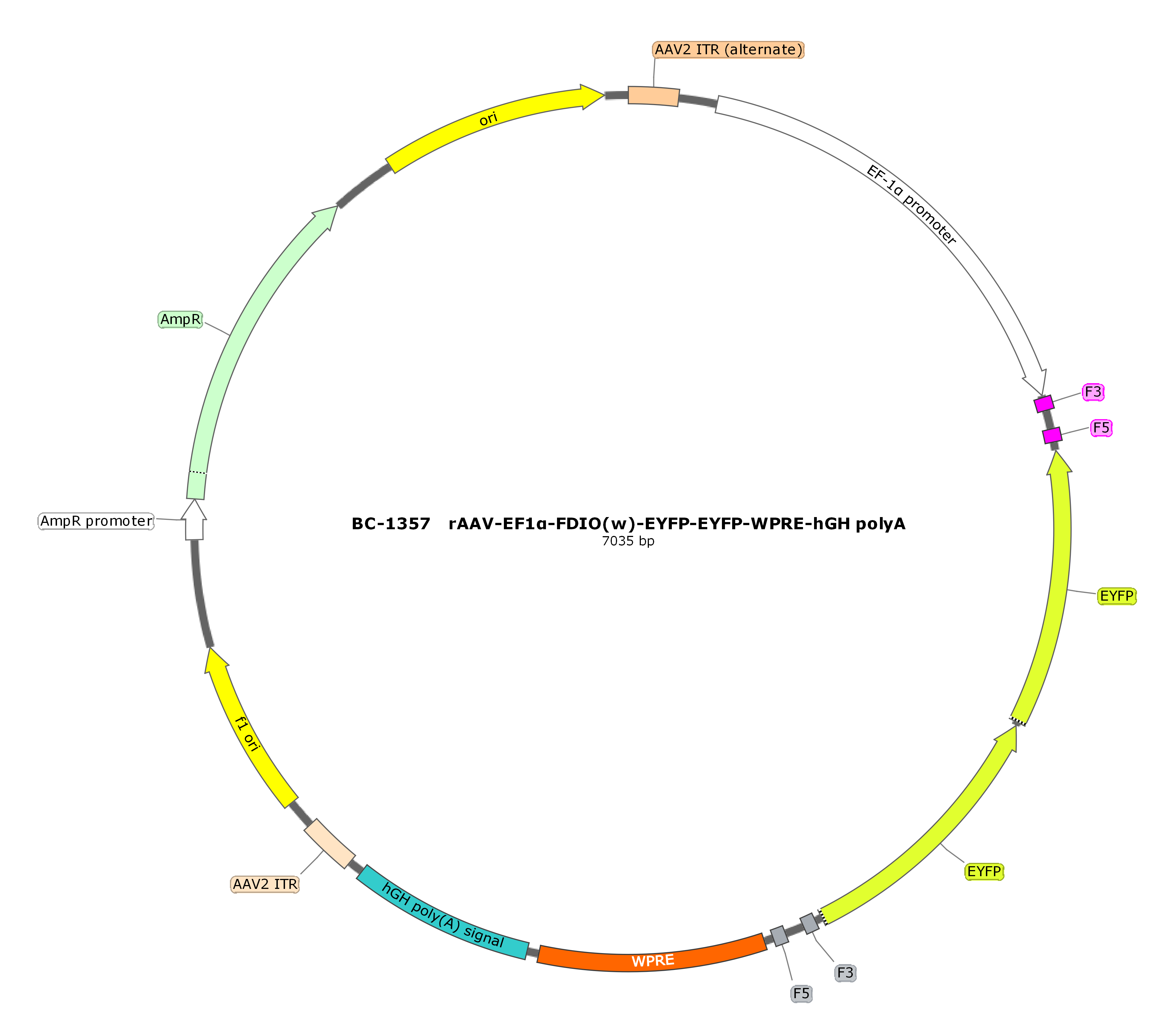 rAAV-EF1α-FDIO(w)-EYFP-EYFP