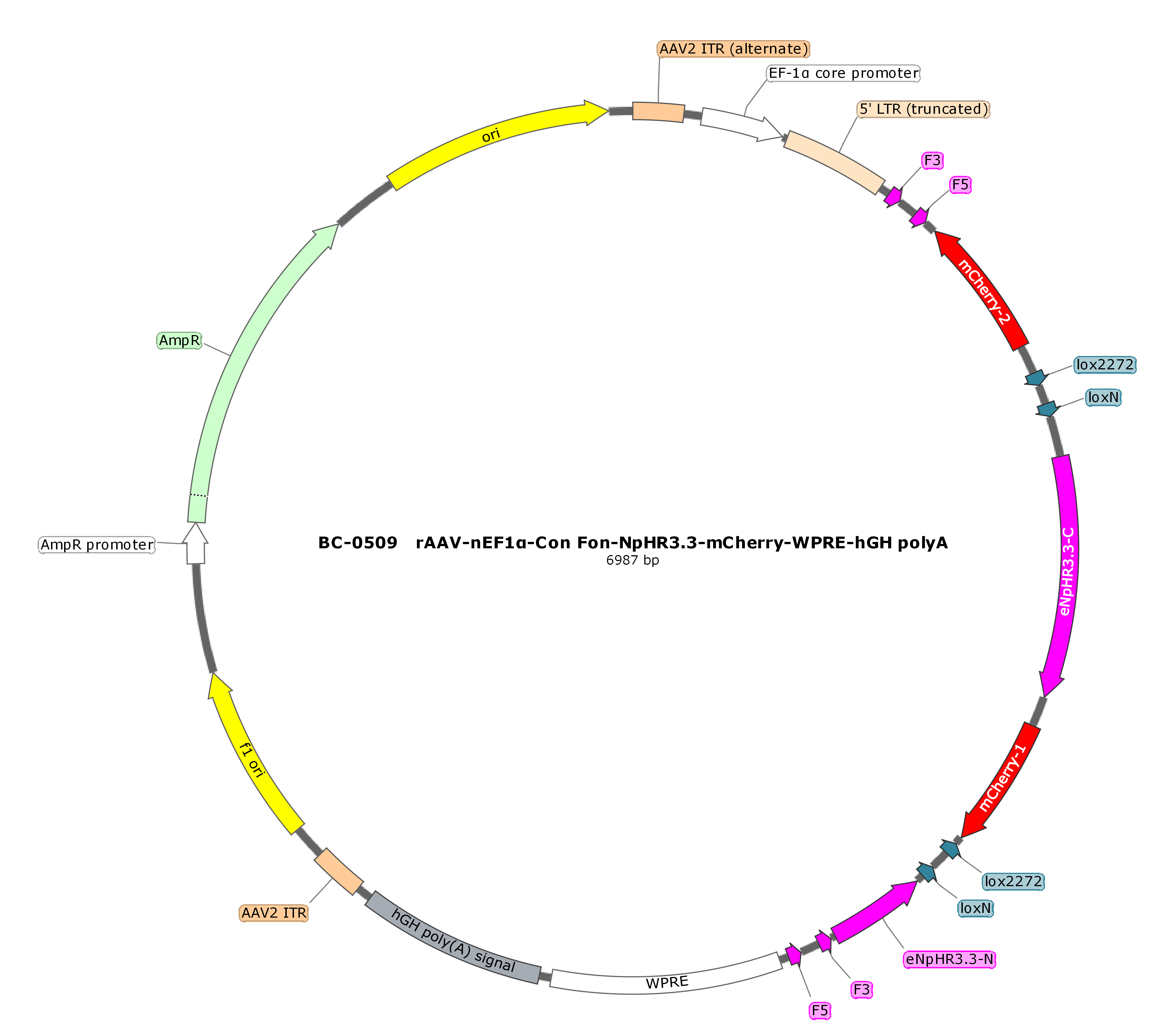 rAAV-nEF1α-Con Fon-NpHR3.3-mCherry