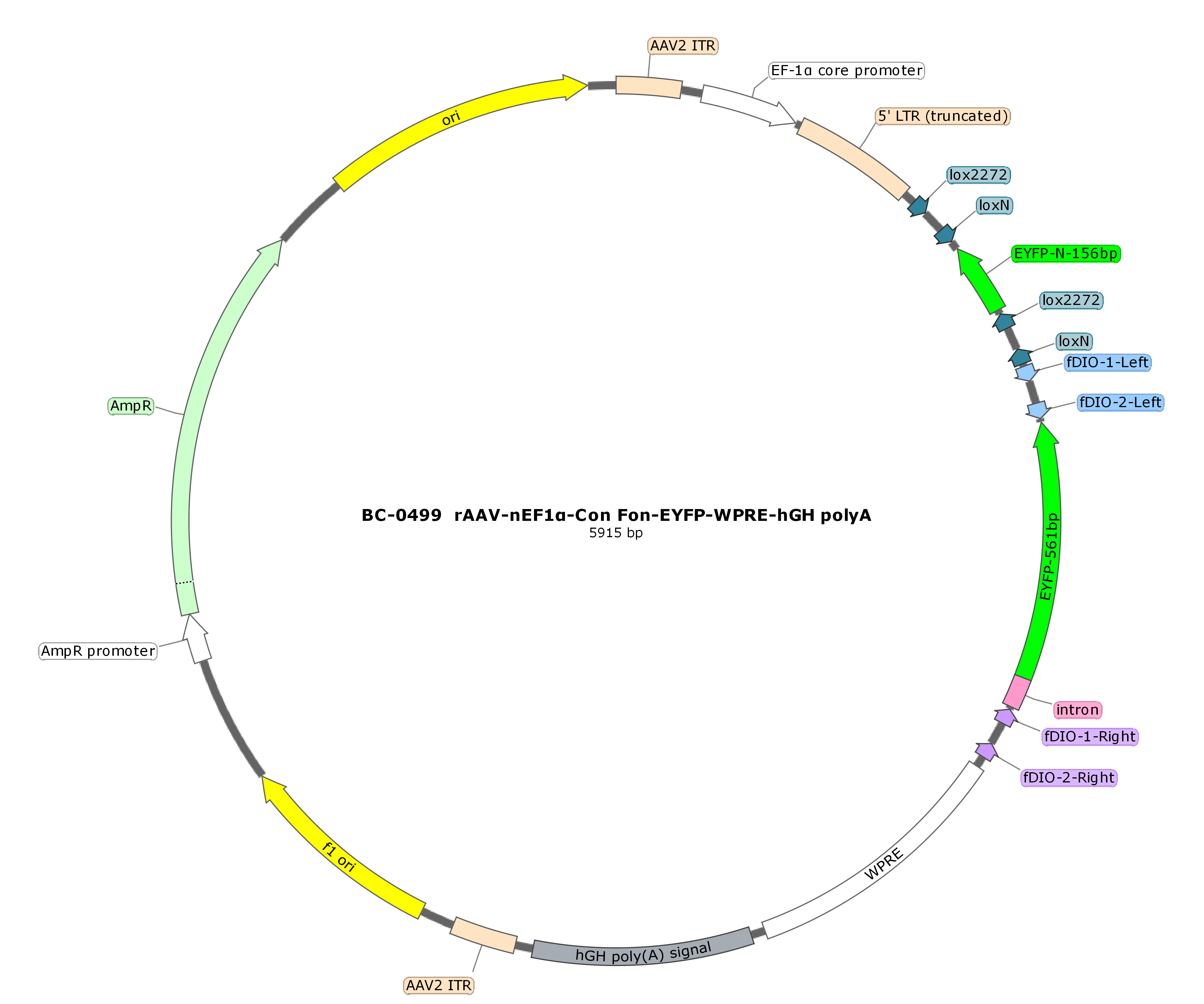 rAAV-nEF1α-Con Fon-EYFP