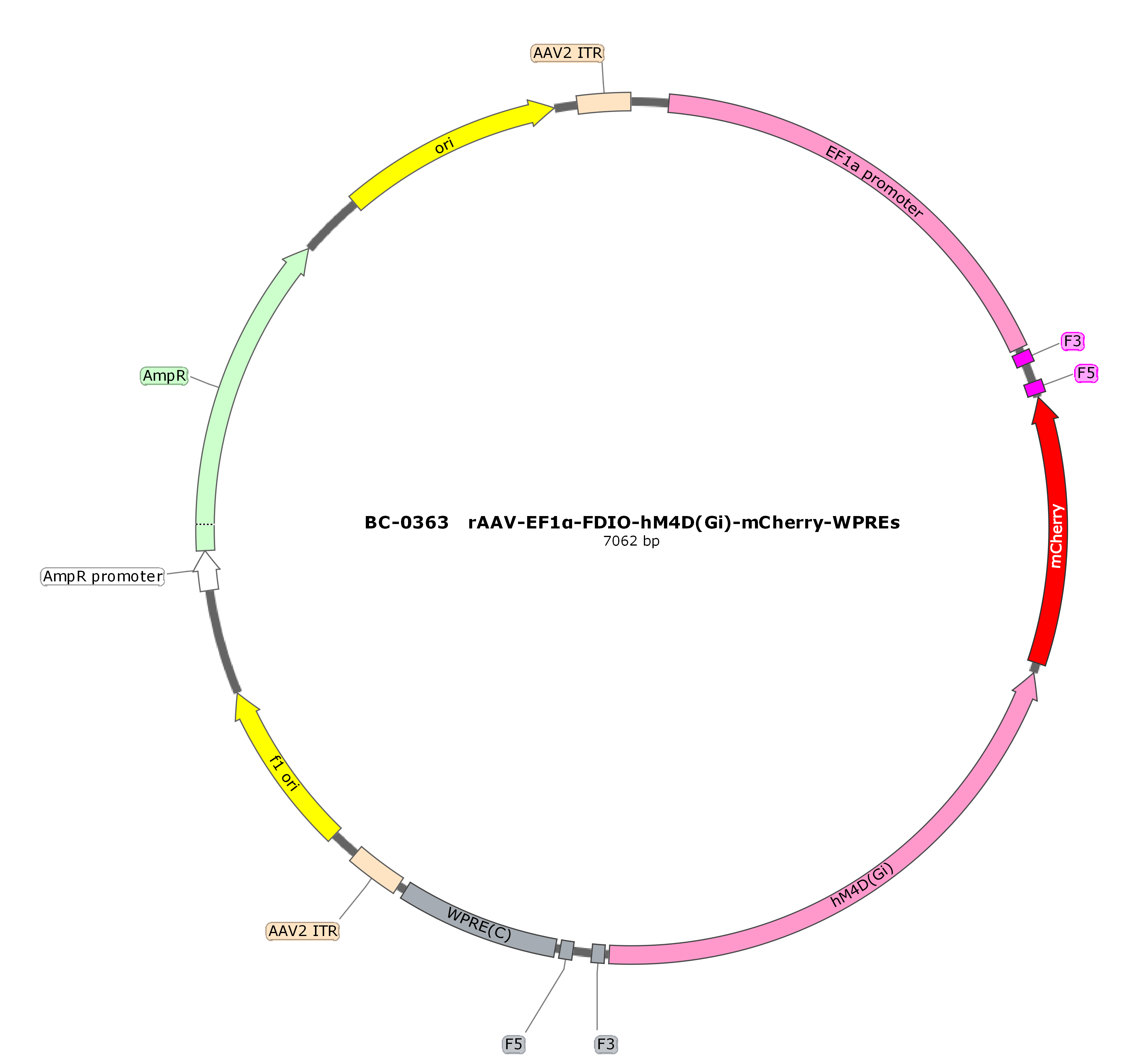 rAAV-EF1α-FDIO-hM4D(Gi)-mCherry